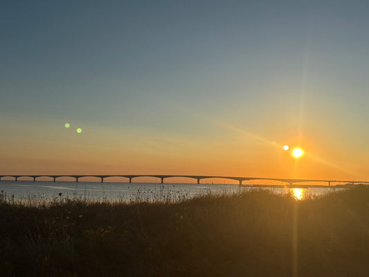 A Guide to Striped Bass Fishing on PEI